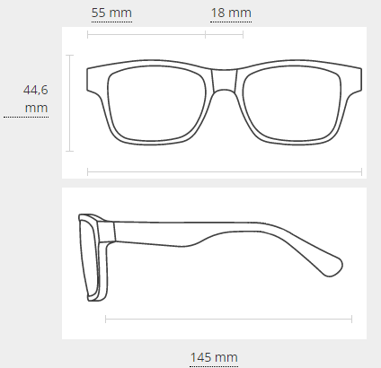 Óculos de Sol Ray Ban Leonard 2193 1316 55